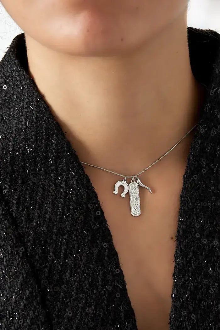 zilveren ketting met bedels hoefijzer
