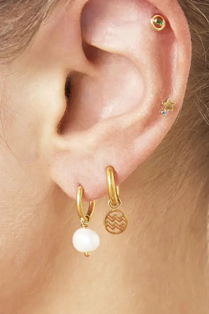 oorbellen in oor model goud met hangers