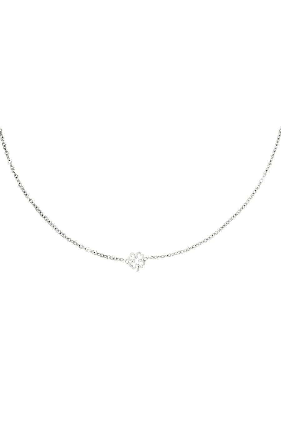 Klavertje vier ketting zilver & goud stainless steel