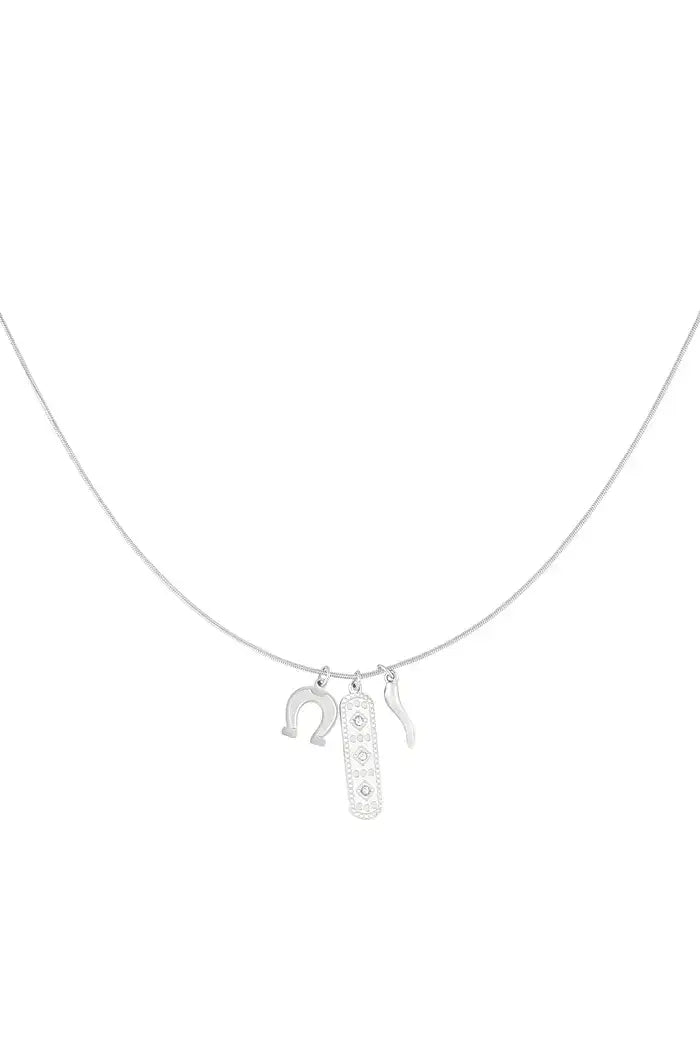 zilveren ketting met bedels hoefijzer