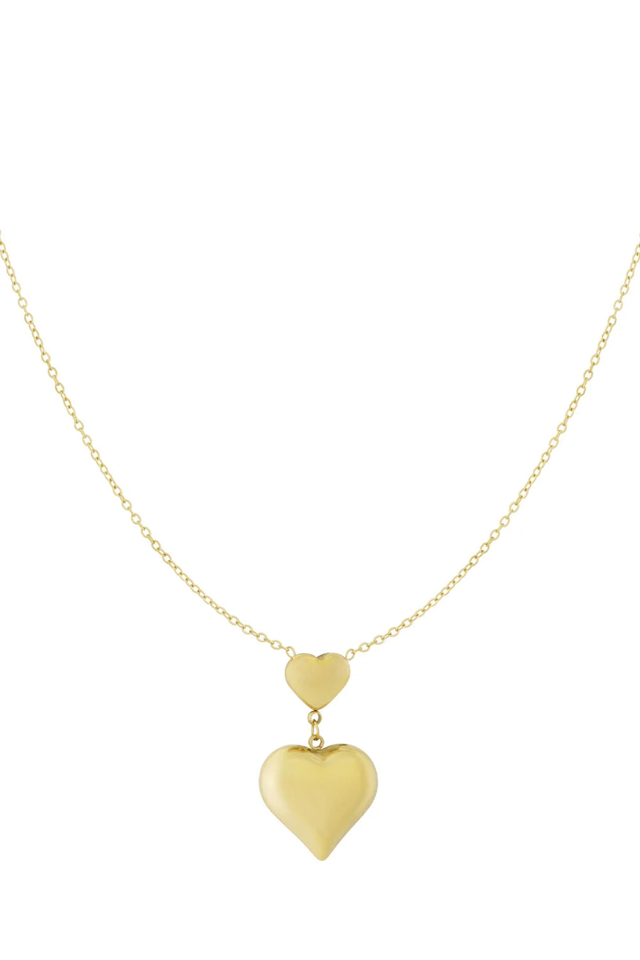 Ketting twee harten stainless steel LoveSieraden