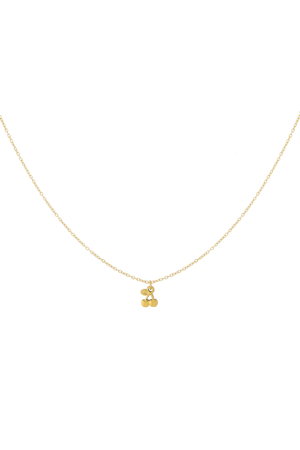 Ketting hanger kers goud stainless steel LoveSieraden