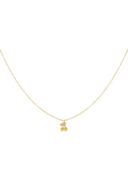 Ketting hanger kers goud stainless steel LoveSieraden