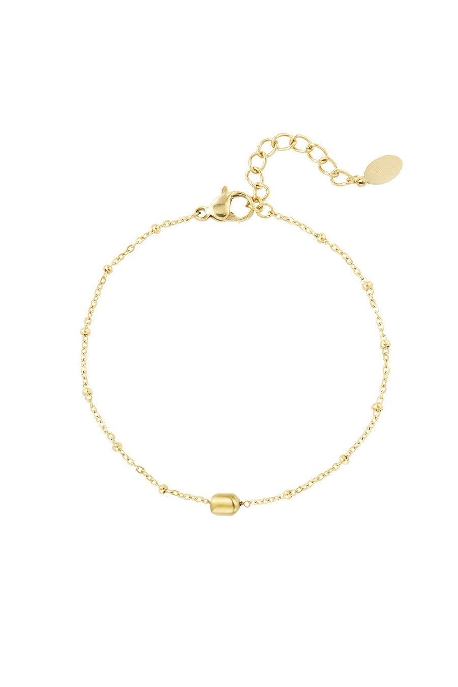 Armband stainless steel met balletjes en bedel goud