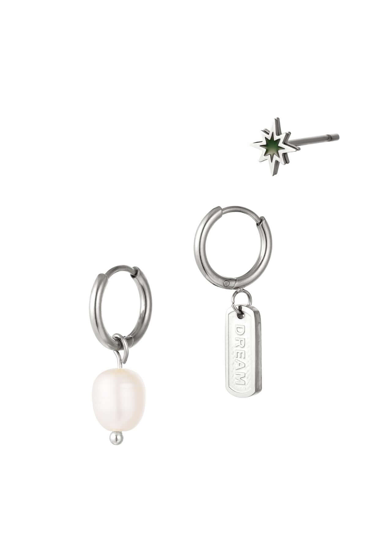 Oorbellen set stainless steel zilver