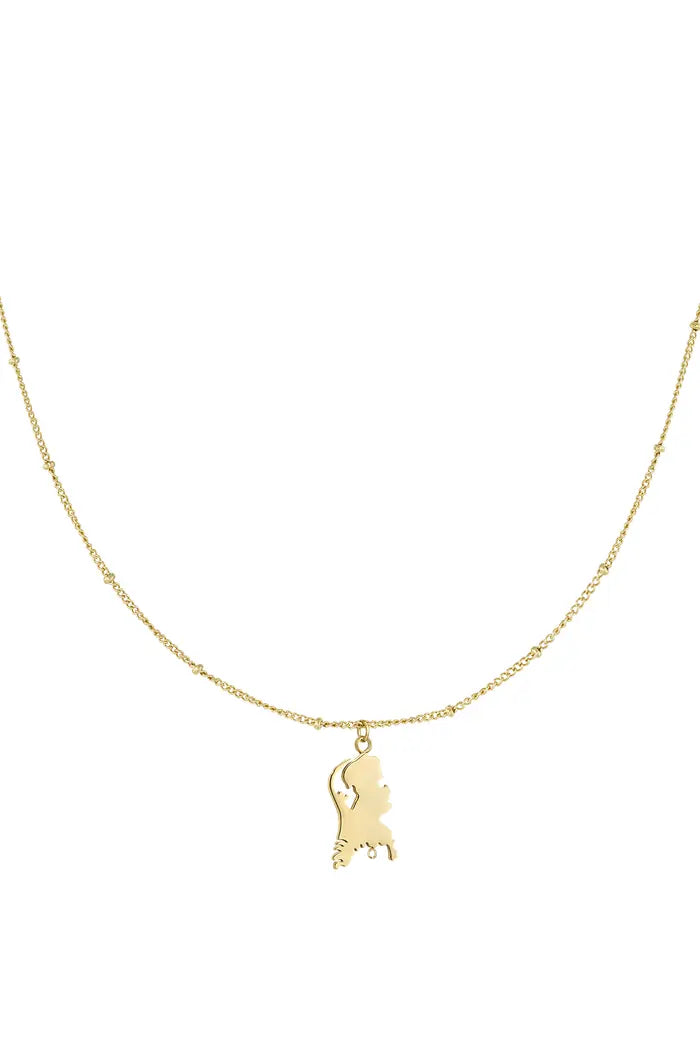 Ketting Nederland stainless steel goud