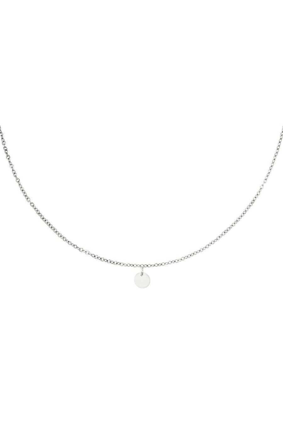 Ketting met kleine ronde bedel stainless steel