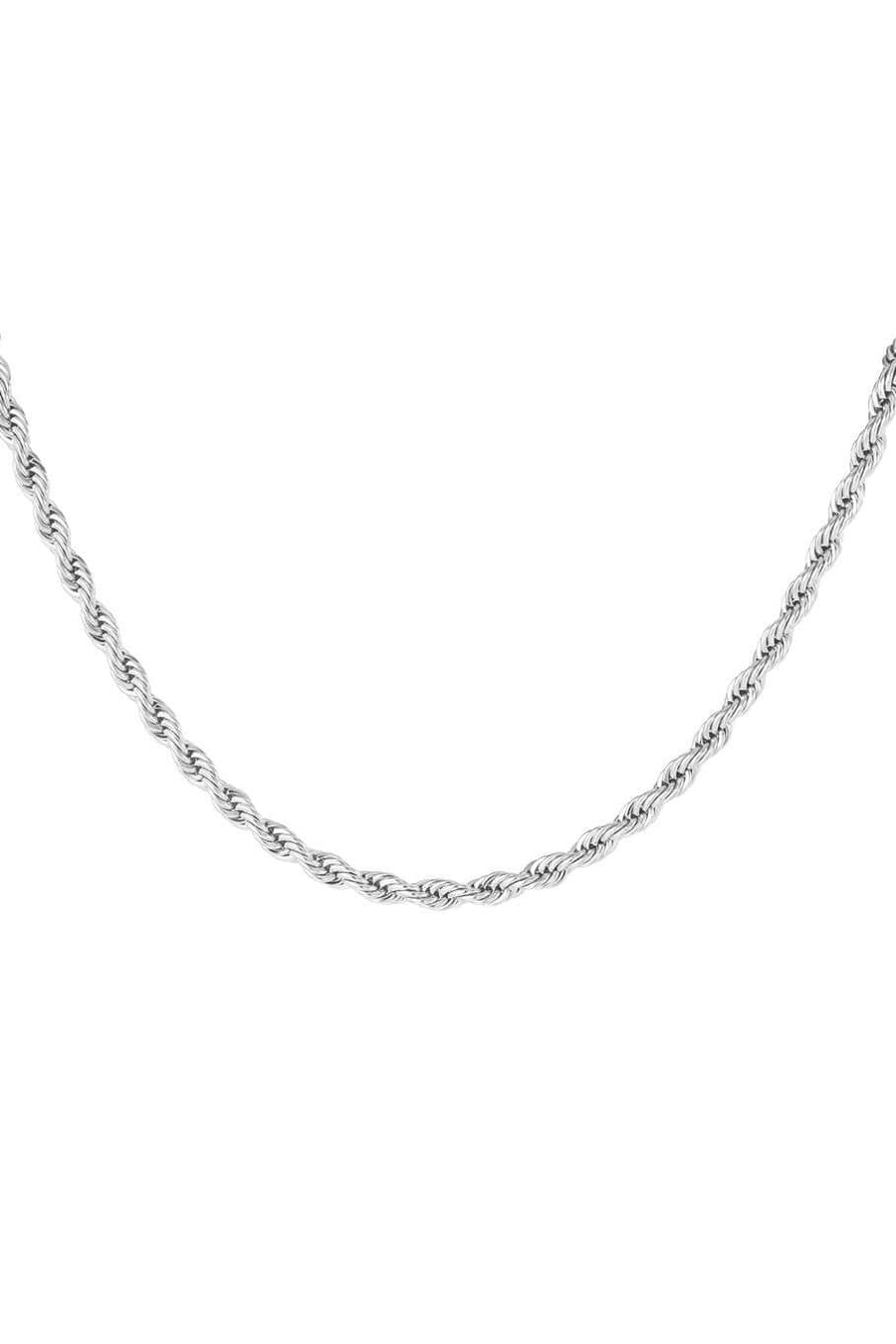 Ketting zilver gedraaid stainless steel unisex