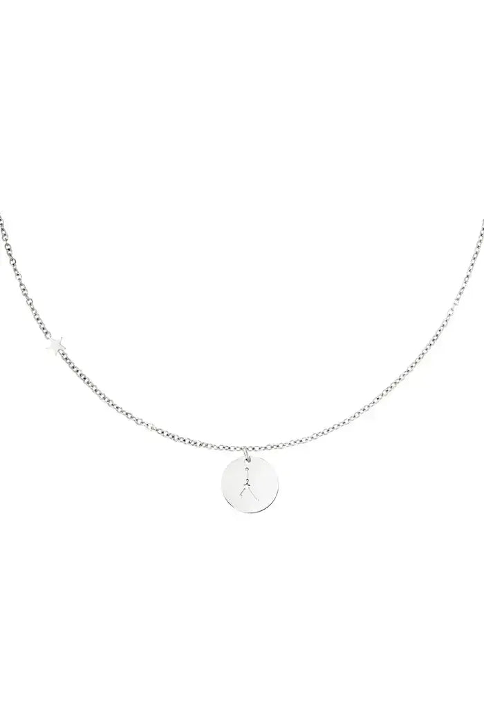 Ketting kreeft met hanger sterrenbeeld