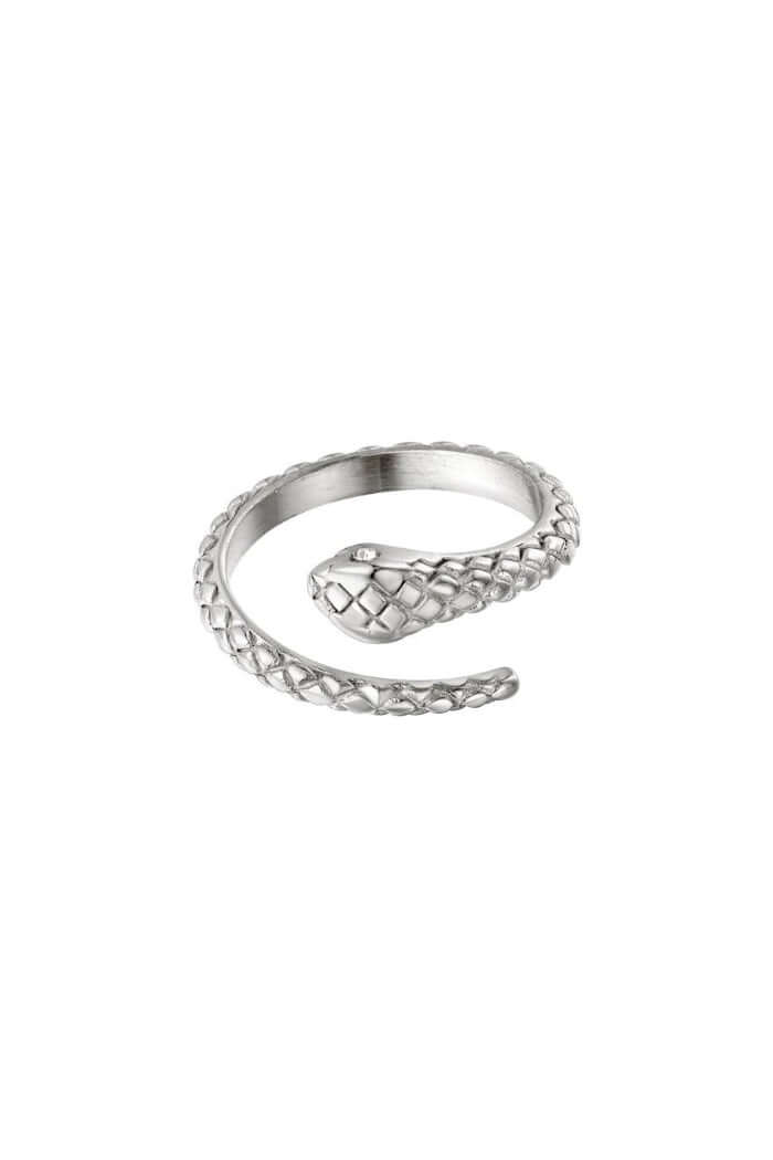 Ring slang stainless steel