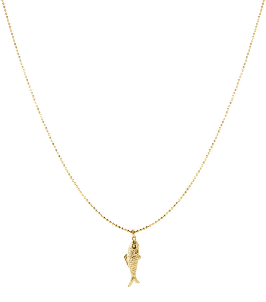 Lange ketting met hanger vis stainless steel LoveSieraden